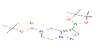 tert-butyl3-(tetramethyl-1,3,2-dioxaborolan-2-yl)-4H,5H,6H,7H-pyrazolo[1,5-a]pyrazine-5-carboxylateͼƬ