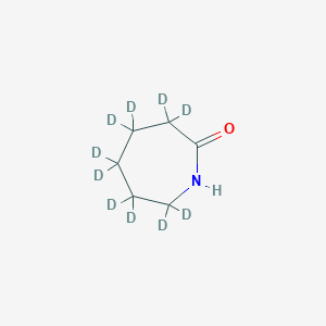 -Caprolactam-d10ͼƬ