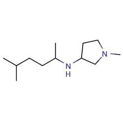 1-methyl-N-(5-methylhexan-2-yl)pyrrolidin-3-amineͼƬ