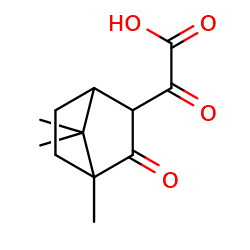 2-oxo-2-{4,7,7-trimethyl-3-oxobicyclo[2,2,1]heptan-2-yl}aceticacidͼƬ