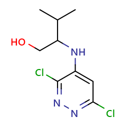 2-[(3,6-dichloropyridazin-4-yl)amino]-3-methylbutan-1-olͼƬ