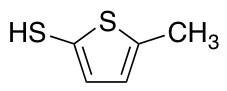 5-methylthiophene-2-thiolͼƬ