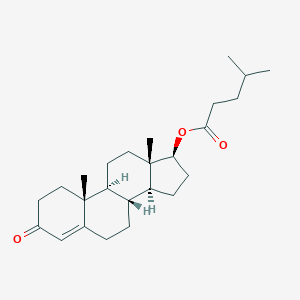 Testosterone isocaproateͼƬ