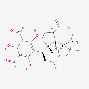 Macrocarpal CͼƬ