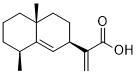 Pterodontic acidͼƬ