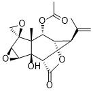 2-O-AcetyltutinͼƬ