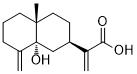 5-Hydroxycostic acidͼƬ