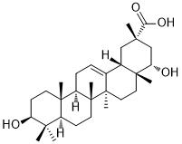 Triptotriterpenic acid AͼƬ