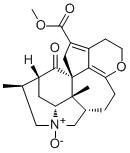 Paxiphylline EͼƬ