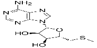 5'-S-Methyl-5'-thioadenosineͼƬ