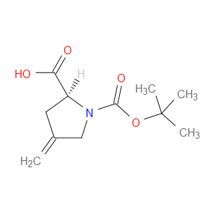 N-BOC-4-Ǽ׻-L-ͼƬ