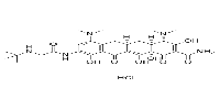 盐酸替加环素图片
