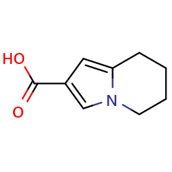 5,6,7,8-tetrahydroindolizine-2-carboxylicacidͼƬ