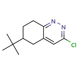 6-tert-butyl-3-chloro-5,6,7,8-tetrahydrocinnolineͼƬ