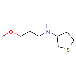 N-(3-methoxypropyl)thiolan-3-amineͼƬ