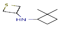 N-(2,2-dimethylcyclobutyl)thietan-3-amineͼƬ