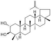 Lup-20(29)-ene-2,3-diolͼƬ