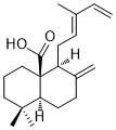 8(17),12E,14-Labdatrien-20-oic acidͼƬ