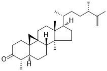 CyclomusalenoneͼƬ