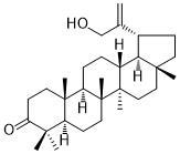 30-Hydroxylup-20(29)-en-3-one图片