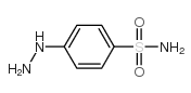 Phenylhydrazine-4-sulfonamideͼƬ