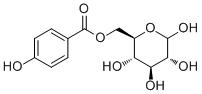 6-O-(p-Hydroxybenzoyl)glucoseͼƬ