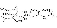 LactacystinͼƬ