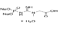 Creatine phosphate disodium salt tetrahydrateͼƬ