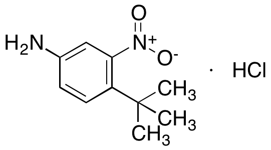 4-tert-butyl-3-nitroaniline hydrochlorideͼƬ