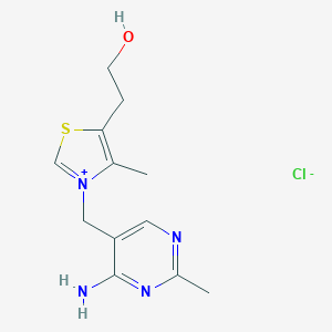 άB1ͼƬ