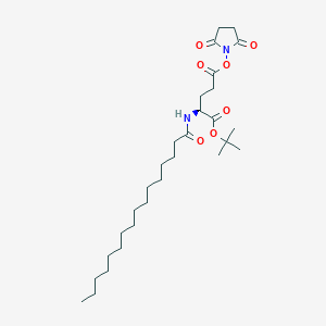 N-Palmitoyl-L-glutamic Acid-Succinimidyl--tert-butyl EsterͼƬ