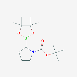 N-Boc H-Boroproline PinacolͼƬ