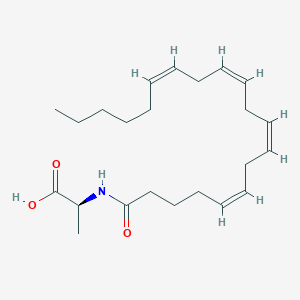 N-Arachidonoyl-(L)-alanine(NA-Ala)ͼƬ