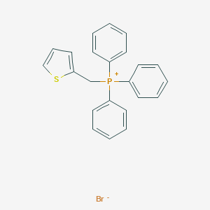 (2-Ի׻)廯ͼƬ