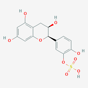 3'-O-Sulfate-EpicatechinͼƬ