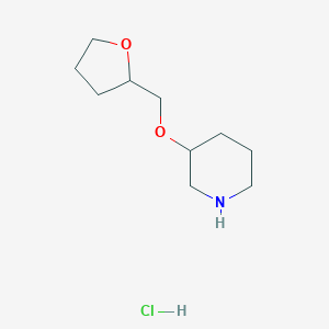 3-(Tetrahydro-2-furanylmethoxy)piperidine hydrochlorideͼƬ