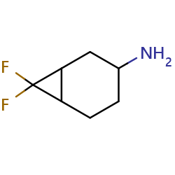 7,7-difluorobicyclo[4,1,0]heptan-3-amineͼƬ