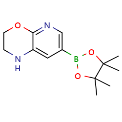 7-(4,4,5,5-tetramethyl-[1,3,2]dioxaborolan-2-yl)-2,3-dihydro-1H-pyrido[2,3-b][1,4]oxazineͼƬ