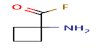 1-aminocyclobutane-1-carbonylfluorideͼƬ