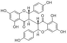 IsochamaejasminͼƬ