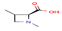 (2S)-1,3-Dimethylazetidine-2-carboxylicacidͼƬ