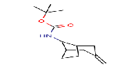 Tert-butylN-{3-methylidenebicyclo[3,2,1]octan-8-yl}carbamateͼƬ