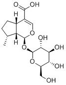 8-Epideoxyloganic acidͼƬ