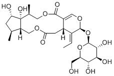 4''-HydroxyisojasmininͼƬ