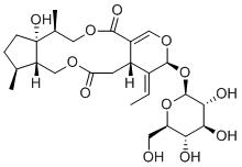 IsojasmininͼƬ