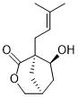 Vibralactone DͼƬ