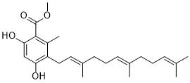 Albatrelin AͼƬ