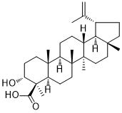 Lupeolic acidͼƬ