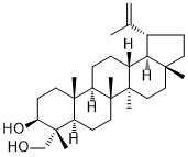 Lup-20(29)-ene-3,23-diolͼƬ