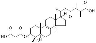 24(31)-Dehydrocarboxyacetylquercinic acidͼƬ